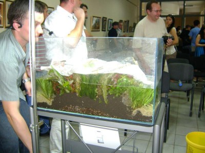 Фото Хрустальный аквариум. Конкурс аранжировки. Киев 2011г (photo#9006)