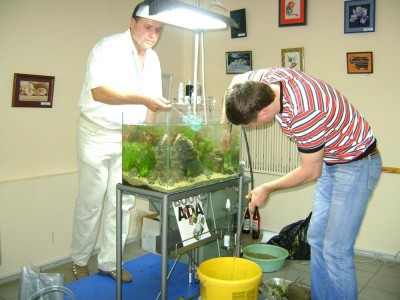 Фото Хрустальный аквариум. Конкурс аранжировки. Киев 2011г (photo#9008)