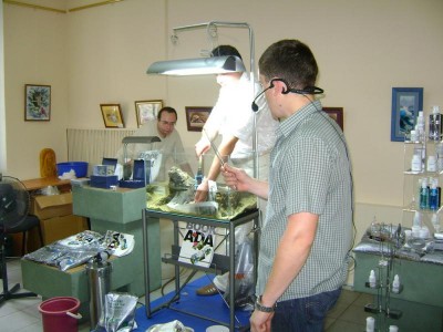 Фото Хрустальный аквариум. Конкурс аранжировки. Киев 2011г (photo#9012)