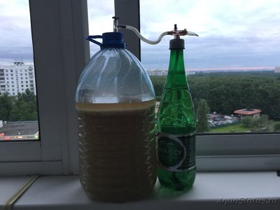 Гигантская банка браги для аквариума