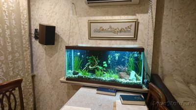 Подвесной аквариум 140 литров (Фосса) 