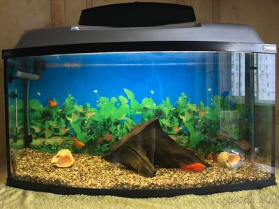 Продам Аквариум Aquael Pearl 130л (Москва)