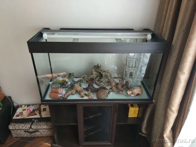 Продам аквариум Aquaplus П-200 LUX + тумба + оборудование (Москва)