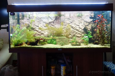 Аквариум ЮВЕЛЬ 240 c тумбой,LED свет, грунт. (Москва)