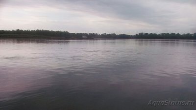 Рыбалка