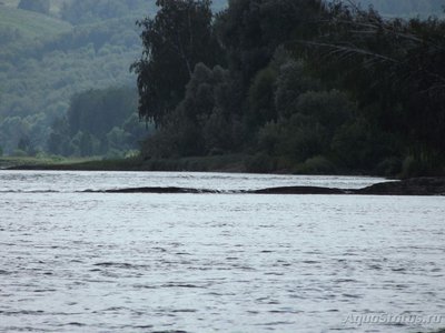 Рыбалка