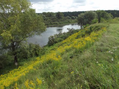 Рыбалка
