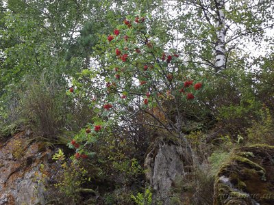 Рыбалка