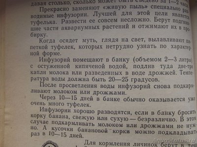 Запустила травник на 200 литров (Калипсо)