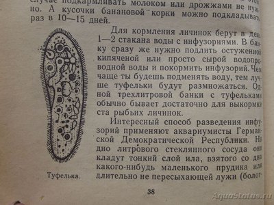 Запустила травник на 200 литров (Калипсо)