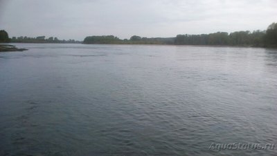 Рыбалка