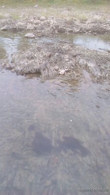 Рыбалка