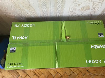 Начали быстро умирать рыбы в новом аквариуме