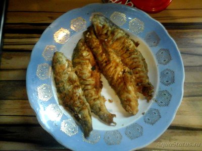 Рыбалка