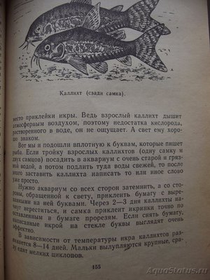 Мой аквариум 110 литров (yulia211)