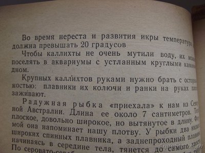 Мой аквариум 110 литров (yulia211)