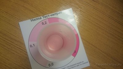 Умер чёрный неон