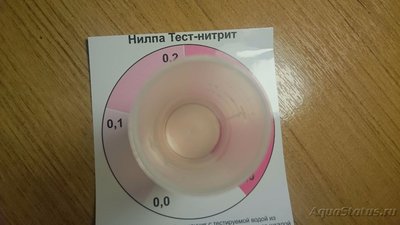 Умер чёрный неон