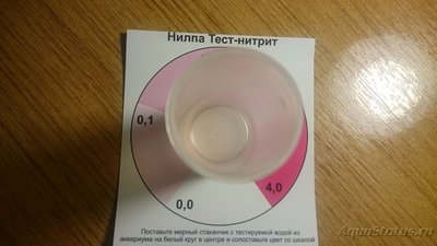 Умер чёрный неон