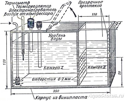 Фото Как отделить артемию от скорлупы? (photo#94123)
