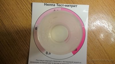 Фото Почему умирают рыбки в аквариуме? (photo#94812)