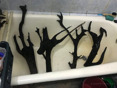 Запуск аквариума на 300 литров