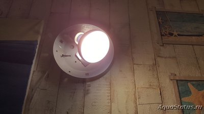 Мутная вода в аквариуме, муть в аквариуме
