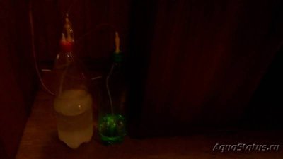 Как избавиться от водорослей в аквариуме?