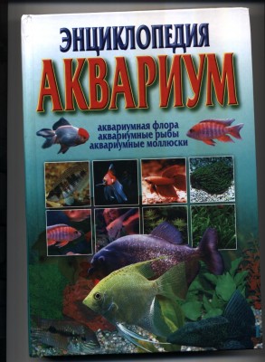 Наш аквариум 80 литров (Михаил и ИринаС)