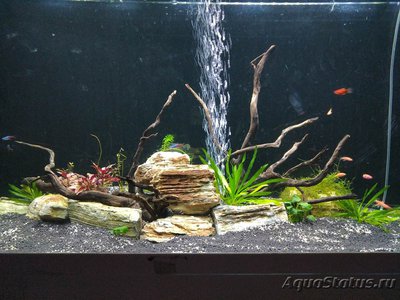 Фото Мой Слишком амбициозный аквариумный проект 350л waswaswas84  (photo#98505)