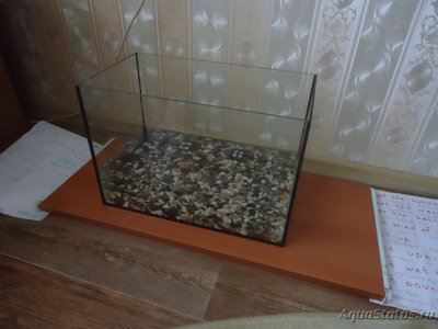 Фото Качество аквариума (photo#98626)