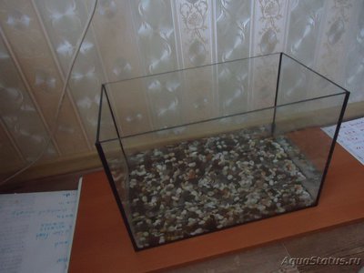 Фото Качество аквариума (photo#98627)