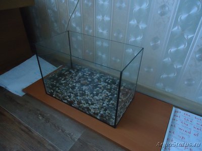 Фото Качество аквариума (photo#98628)
