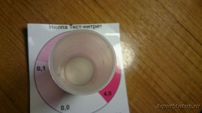 Фото Умер чёрный неон (photo#98722)