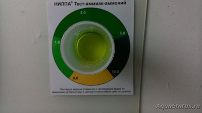 Жизнь одного аквариума на 50 литров (mirabelle.Perm)