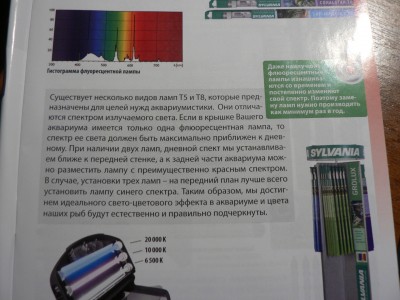 флюоресцентные лампы