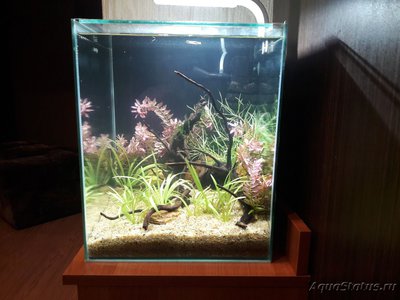 Фото Мой кубик AQUAEL SHRIMP SET 30 литров Kon tantin  (photo#99374)
