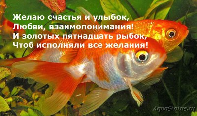 Фото С Днём 8 Марта, милые женщины  (photo#99796)